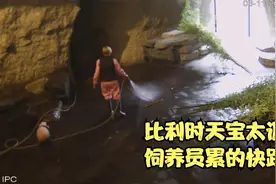 比利时的天宝让饲养员很头痛，它实在是太调皮了视频封面