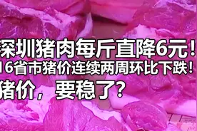 深圳猪肉每斤直降6元！猪价，要稳了？16省市猪价两周环比下跌！视频封面