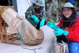 婆媳二人配合默契，顺利收获第3桶蜜蜂视频封面