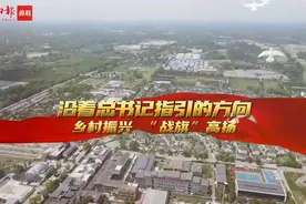 沿着总书记指引的方向 乡村振兴 “战旗”高扬视频封面