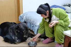 馋嘴的大怪兽吃东西太斯文,给的大骨头棒子还想舔着吃,太好玩了视频封面