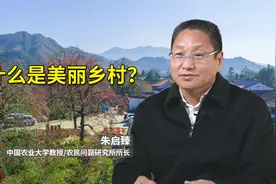 什么是美丽乡村？视频封面