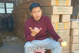 菏泽小伙帮农村老人卖莴笋，3小时售出800斤，亏了好几百，咋回事视频封面