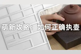 茶壶分类有哪些？这些茶壶你都知道怎么拿吗？视频封面