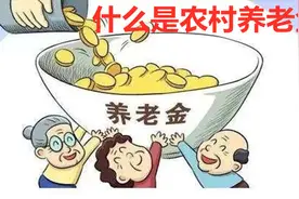什么叫农村养老金，基础养老金今年将迎来增长，农民：太好嘞！视频封面
