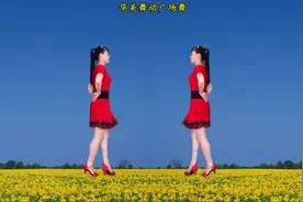 2人对跳版《3步广场舞》看一遍就会跳，初学者的最爱！视频封面