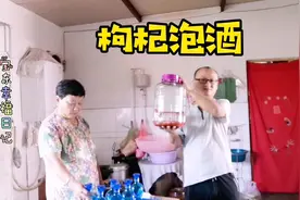 新鲜枸杞，泡了一箱52度白酒！喜欢喝的可以约了！视频封面