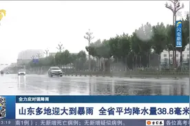 山东多地迎大到暴雨，其中德州禹城辛店降水量最多，达249.4毫米视频封面