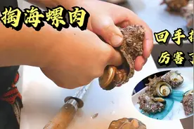太厉害了，这掏海螺肉的技术，先用刀割下，接着回手掏，螺肉秒出视频封面