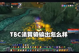 魔兽世界怀旧服TBC防骑洗天赋直接换成清算骑试试输出视频封面
