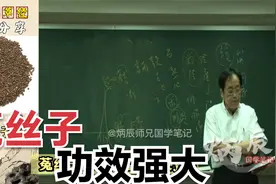 倪海厦老师讲解【菟丝子】，功效强大