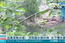 无惧刚发生的溺亡悲剧，无视禁游指示牌，济南历阳湖内仍有野泳者视频封面