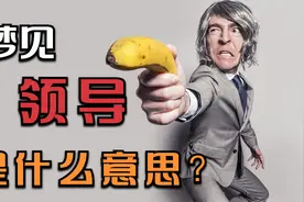 梦见领导，意味着什么？视频封面