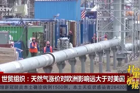 世贸组织：天然气涨价对欧洲影响远大于对美国|中国新闻视频封面