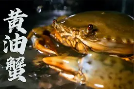 舔一口要几百的黄油蟹，还可以这样养出来视频封面