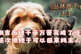 《丛林赤子心》第3/3集，班吉经历千辛万苦，终于完成了任务...视频封面