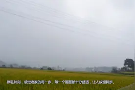 湖南华容县华容道村，深秋的寒雨故乡静的只有风声雨声，忆外婆。视频封面