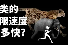 人类的极限速度有多快？