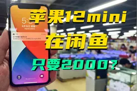 2000块能在闲鱼淘一台iPhone12mini？换上国产LCD屏，值不值？