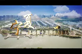 宁夏：厚植黄土高原生态底色视频封面