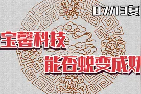 深度解析：宝馨科技，有没有机会成为大妖？视频封面