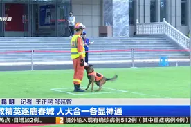 搜救精英逐鹿春城 人犬合一各显神通视频封面