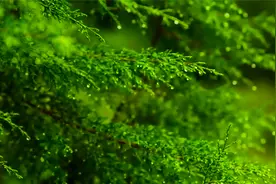 毛主席：踏遍青山人未老，风景这边独好。视频封面
