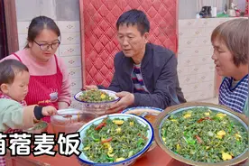 挖一些苜蓿菜，蒸一锅苜蓿麦饭，用鸡蛋一炒太香了！视频封面
