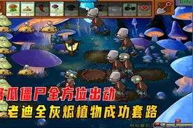 植物大战僵尸228：窝瓜僵尸全方位出动，老迪全灰烬植物成功套路视频封面