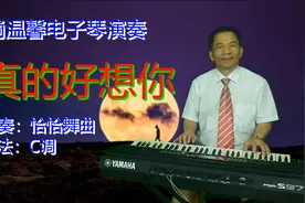 电子琴《真的好想你》追月的彩云哟 也知道我的心视频封面