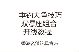 垂钓大鱼技巧，双漂座组合，开线教程。