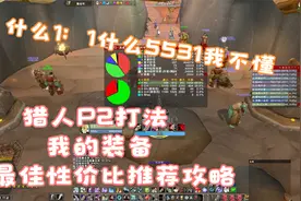 魔兽世界 TBC 猎人P2打法及我的装备最佳性价比推荐攻略视频封面
