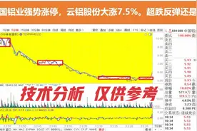 中国铝业强势涨停 云铝股份大涨7% 超跌反弹还是反转？客观分析视频封面