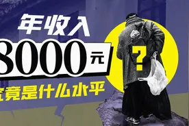 宁南山|年收入8000元是什么水平？实现共同富裕，必须做到这两点视频封面
