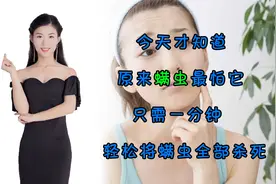 今天才知道，原来螨虫最怕它，只需一分钟，轻松将螨虫全部杀死视频封面