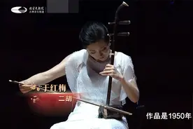 二胡名曲《二泉映月》，是一种饱受心酸痛楚却坚韧不屈的精神视频封面