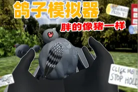 鸽子模拟器：你见过胖得像猪的鸽子吗？摸一摸太好玩啦！视频封面