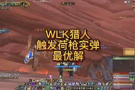 WLK猎人荷枪实弹最优解视频封面