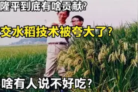 袁隆平到底有啥贡献？杂交水稻技术被夸大了？为啥有人说不好吃视频封面