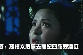 垂帘听政：慈禧太后砍去丽妃四肢装酒缸视频封面