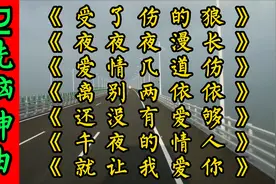 一夜爆红全网7首DJ神曲，酒吧车载大碟，首首洗脑，百听不厌！视频封面