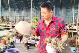 旧砂锅做多肉花盆，种起来还不错，排水一定得做好！视频封面