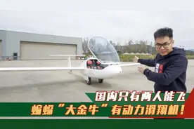 评测蝙蝠“大金牛”有动力滑翔机，滑翔比1:41要靠扰流板才能降落视频封面