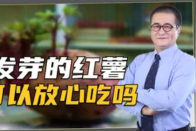 发芽的红薯能吃吗？会像土豆发芽一样有毒吗？现在知道还不晚视频封面