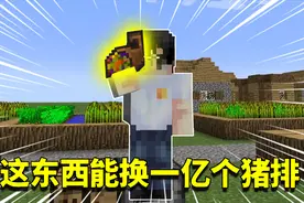 我的世界mod：一个道具可抵上亿块猪排？吃一辈子都吃不完的食物视频封面