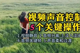 视频声音控制的5个关键操作，1次掌握音频处理技巧