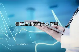 猫吃益生菌有什么作用视频封面
