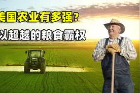 美国的农业有多强？难以超越的粮食霸权，稳坐世界第一农业大国视频封面