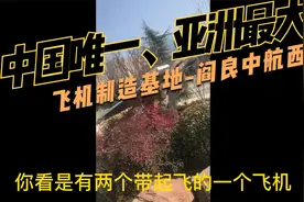 中国唯一、亚洲最大民用飞机生产基地-阎良视频封面