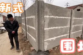 农村大哥改造小院，用水泥板围墙，建筑成本150元一米，真的划算视频封面